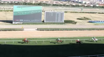 Yenimahalle Belediye Başkanlığı Koşusunu Taylolo Kazandı