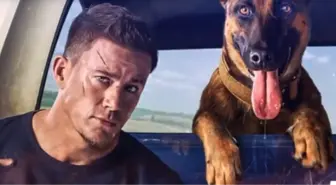 K-9 filmi oyuncuları kim? K-9 filmi konusu, oyuncuları ve K-9 özeti!