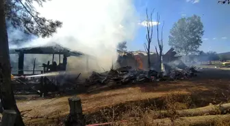 Kastamonu'da çıkan yangında ahır ve samanlık kül oldu