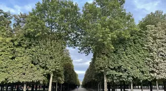 Paris'in en eski yeşil alanı Tuileries Bahçesi