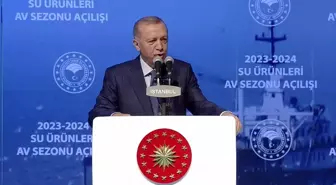 Cumhurbaşkanı Erdoğan: 'Afet bölgesi illerinde su ürünleri yetiştiricilerimizin zayi olan balık yumurtaları için iki ay içerisinde destekleme...