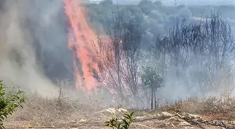 Hatay'ın Dörtyol ilçesinde çıkan yangın söndürüldü