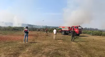 Samsun'un Salıpazarı ilçesinde çıkan örtü yangını söndürüldü