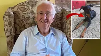 Ünlü ekonomist Korhan Berzeg 76 gündür kayıp! 2 gün önce eve dönen köpeği Tina'nın tasması inceleniyor