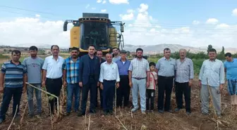 Adıyaman'ın Gölbaşı Kaymakamı Tarık Buğra Seyhan Ayçiçeği Hasadına Katıldı