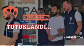 Paw Guards başkanı Erkin Erdoğdu kimdir, neden tutuklandı? Paw Guards nedir, haberleri ve dolandırıcılığı ne demek?