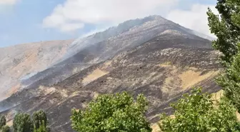 Bitlis'te çıkan örtü yangınında 12 hektarlık alanda zarar oluştu