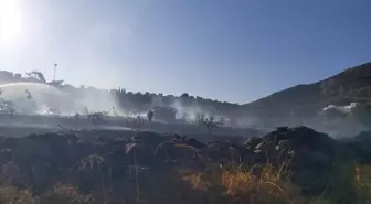 Bodrum'da çıkan yangında 3 dönüm alan zarar gördü