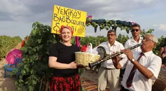 Edirne'de Bağ Bozumu Şenliği Düzenlendi