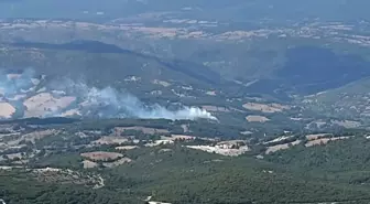 Balıkesir Balya'da çıkan orman yangını kontrol altına alındı