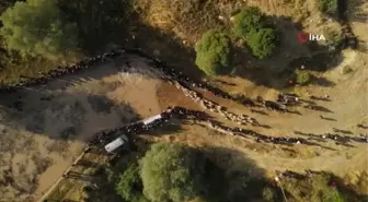 Burdur'un 750 yıllık yörük geleneği renkli görüntülere sahne oldu