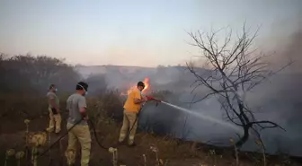 Kırklareli'nde çıkan anız yangını söndürüldü