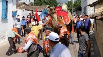 Manisa'da Geleneksel Bağbozumu Şenliği'nde Deve Üzerinde Yürüyüş Yapan Kadın Yere Düştü