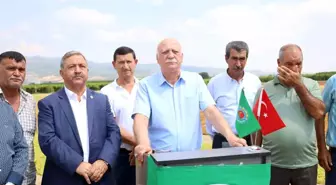 TZOB Genel Başkanı Bayraktar: 'Üzümün kıymetini bilelim'