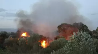 Eleşkirt ilçesinde çıkan yangına itfaiye müdahale ediyor