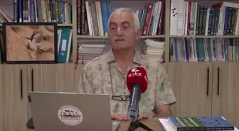 Çanakkale'deki Orman Yangınının Ardından Bölgede Avcılık Faaliyetleri Yasaklanmadı.