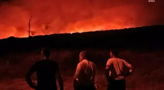 Çeşme Belediyesi Karadağ'ı Sakız Ormanı yapmak istiyor