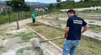 Mezarlıklarda bakım ve temizlik çalışmaları sürüyor