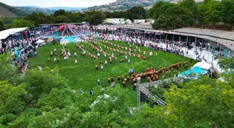 Pamukkale Belediyesporlu Pehlivanlar Kırkpınar'a Katılma Hakkını Kazandı