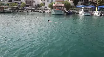 Bodrum'da Deniz Dibi Temizliği Etkinliği Devam Ediyor