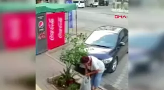 Adana'da Bir İş Yerinden Süs Bitkisi Çalındı