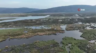 Karacabey Longoz Ormanları'nda Sonbahar Manzaraları