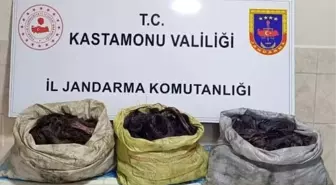 Kastamonu'da Kablo Hırsızlığı Şüphelileri Yakalandı