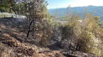 Antakya'da çıkan orman yangını büyümeden söndürüldü