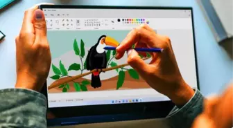 Windows 11'deki Paint Uygulaması Arka Planı Kaldırma Özelliği Sunuyor