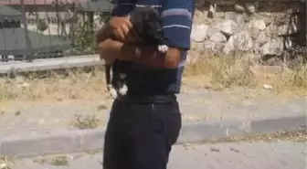 Elazığ'da kaybolan emekli sağlık memuru Mircan Çayı'nda ölü bulundu