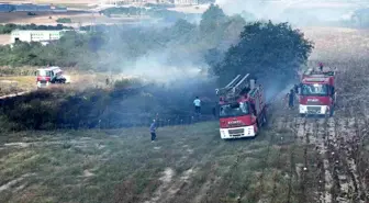 Tekirdağ'da Ormanlık Alanda Çıkan Yangın Söndürüldü