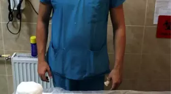 Kediye düşme sonucu platin takıldı