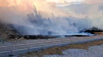 Bandırma'da çıkan yangın evlere ulaşmadan söndürüldü