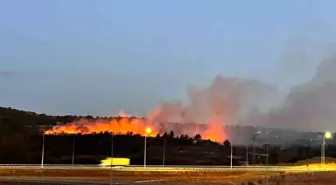 Çanakkale'de makilik alanda yangın çıktı