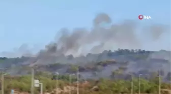 Çanakkale'de Ziraat Alanında Yangın Çıktı