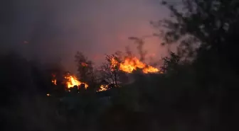 Gelibolu'da zirai alanda çıkan yangın kısmen kontrol altına alındı