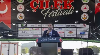 Sakarya'da İlk Çilek Festivali Renkli Görüntülere Sahne Oldu