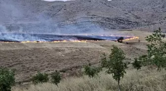 Adana'da çıkan anız yangını söndürüldü