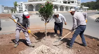 Adıyaman Belediyesi Şehir Genelinde Peyzaj Çalışmalarına Devam Ediyor