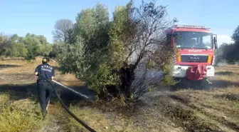 Aydın Büyükşehir Belediyesi İtfaiyesi Yangına Hızlı Müdahale Etti