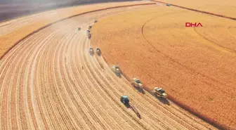 TİGEM, Tüm Zamanların Hububat Üretim Rekorunu Kırdı