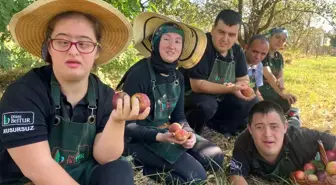 Tarım Akademisi'nde Özel Gençler Elmaları Hasat Etti