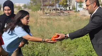 Aksaray'da bir lisenin bahçesinde öğrenciler tarafından ekilen sebzelerin hasadı yapıldı