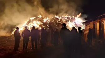 Çerkeş'te çıkan yangında 6 bin saman balyası küle döndü