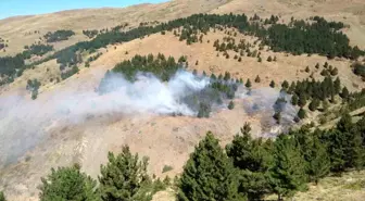 Isparta'da çıkan orman yangını kontrol altına alındı