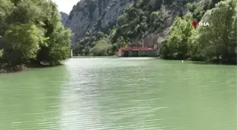 Tahta Barajı'na 20 bin pullu sazan balığı yavrusu bırakıldı