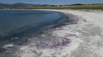 Burdur Gölü'nde Sahil Mor Renge Büründü