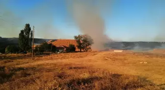 Çorum'un Alaca ilçesinde tarım arazisinde anız yangını