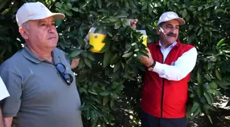 Aydın'da Akdeniz Meyve Sineği mücadelesi için tuzak dağıtım töreni düzenlendi