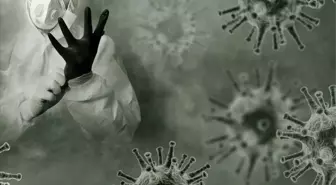 NİPAH VİRÜSÜ NEDİR? Türkiye'de var mı, belirtileri nelerdir?